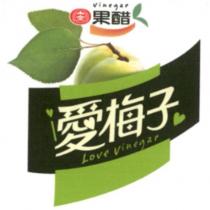 十全果醋愛梅子及圖