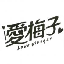 愛梅子 love vinegar 及圖