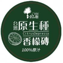 小樹 ITREE FRUIT 台灣原生種香檬磚及圖