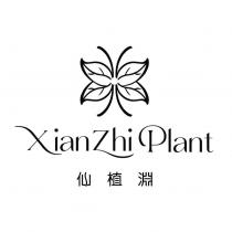 仙植淵 XianZhi Plant 及圖