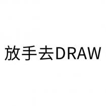放手去 DRAW