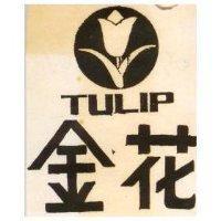 金花 TULIP 及圖 