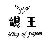 鴿王及圖 KING OF PIGEON