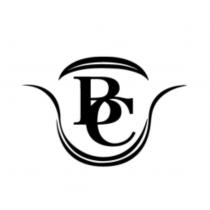 BC 設計圖