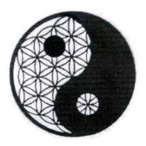 格紋圖