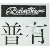 普有 BELLWETHER 