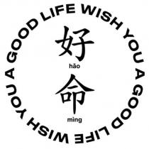好命 hao ming WISH YOU A GOOD LIFE WISH YOU A GOOD LIFE 設計字