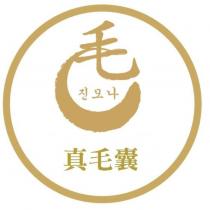 真毛囊毛及圖