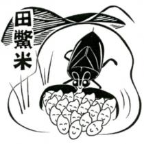 田鱉米及圖