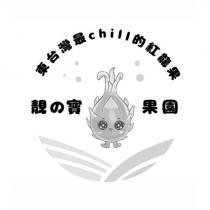 靚の寶果園 東台灣最 chill 的紅龍果及圖
