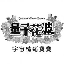 量子花波 宇宙情緒寶寶 quantum flower essence 及圖