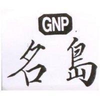 名島 GNP 及圖