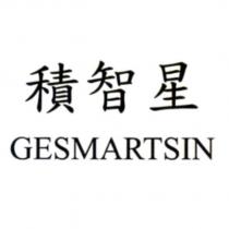 積智星 GESMARTSIN