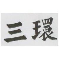 三環