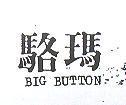 駱瑪 BIG BUTTON 