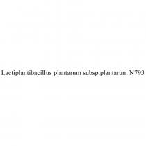 Lactiplantibacillus plantarum subsp.plantarum N793