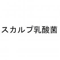 スカルプ乳酸菌