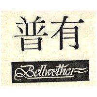 普有 BELLWETHER 