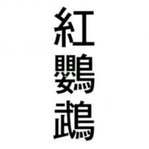 紅鸚鵡