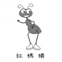 紅螞蟻及圖