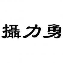 攝力勇