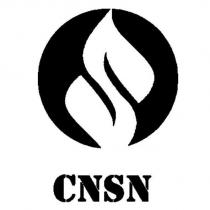CNSN 及圖