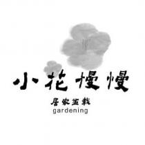小花慢慢居家盆栽 gardening 及圖