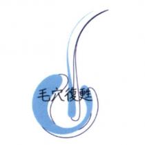毛穴復甦及圖