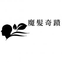 魔髮奇蹟及圖