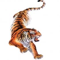 品御方 PIN YU FANG 及圖