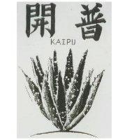 開普及圖 KAIPU