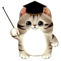 設計圖 7