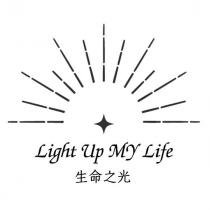生命之光 Light Up My Life 及圖