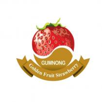 GUMNONG GOLDEN FRUIT STRAWBERRY 及圖