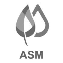 ASM 及圖