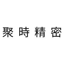 聚時精密