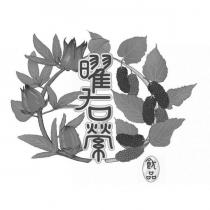 曜右縈及圖