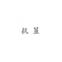 抗荳