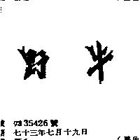 野牛