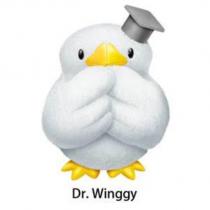 Dr.Winggy 及圖