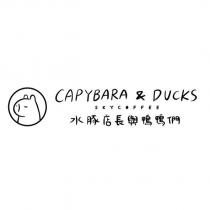 CAPYBARA&DUCKS SKYCOFFEE 水豚店長與鴨鴨們設計字及圖