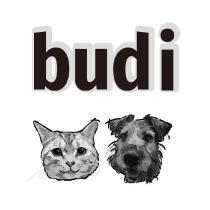 budi