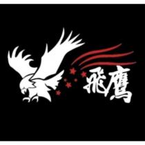 飛鷹及圖