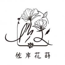 佐岸花蒔 及圖