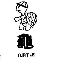 龜及圖 TURTLE