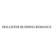 HOLLISTER BUDDING ROMANCE
