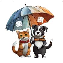 寵護
