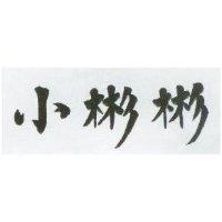 小彬彬