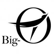 Big 及圖
