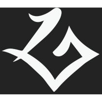 1GPROTEAM